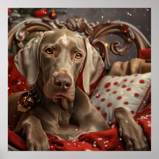 Poster Chien Weimaraner Noël Festif (Devant)