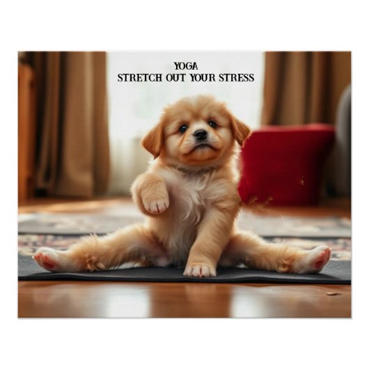 Poster Chien Yoga (Devant)