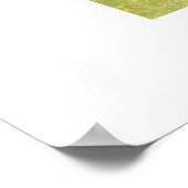 Poster Chiens (Coin)