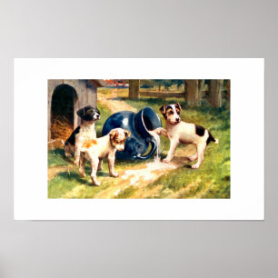 Poster Chiens