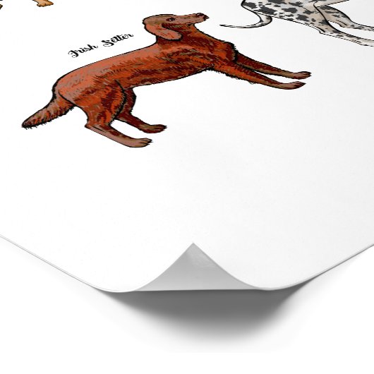 Poster Chiens (Coin)