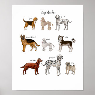 Poster Chiens