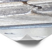 POSTER CHIENS (Coin)