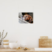 POSTER CHIENS (Cuisine)