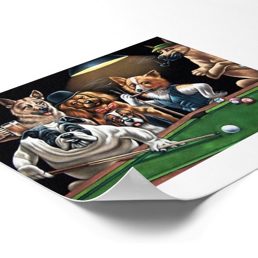 Poster chiens%20lecture%20poker22 (Coin)