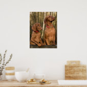 Poster Chiens à dos de Vizsla (Cuisine)