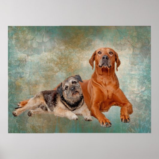 Poster Chiens Adorables Sur L'Art Décopage (Devant)