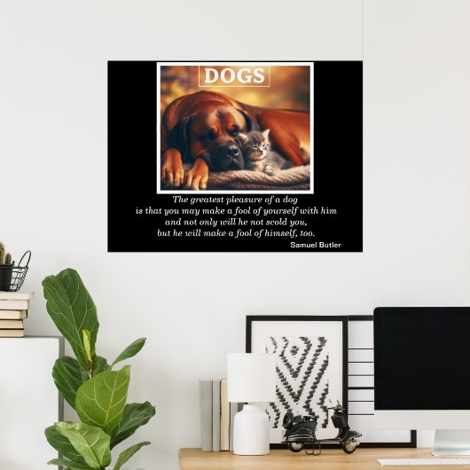 Poster Chiens Best Friend Kitten Cuddles (Bureau à domicile)