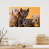 Poster Chiens bleu russe et Chiens de poche (Cuisine)