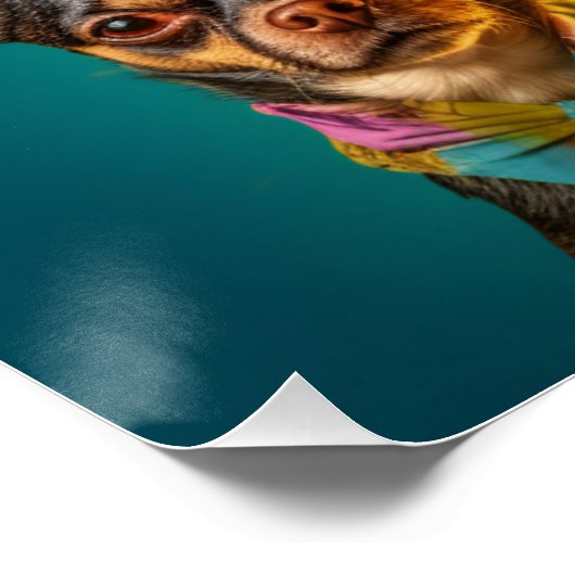 Poster Chiens cool (Coin)