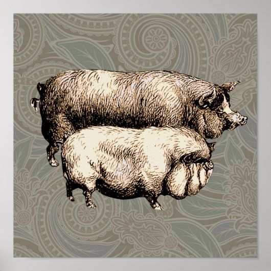 Poster Chiens d'antiquités dessin Vintage (Devant)