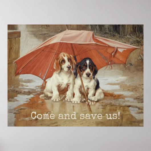 Poster Chiens de chien de chien sous parapluie CC0867 Tro (Devant)