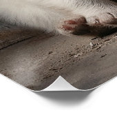 Poster Chiens de chiot amicaux des Grands Pyrénées 004 -  (Coin)