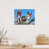 Poster Chiens de chiot australiens (Cuisine)