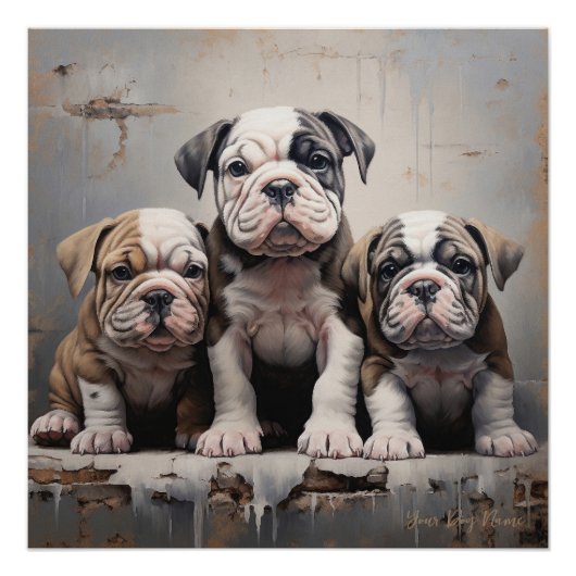 Poster Chiens de chiot Bulldog conviviaux 004 - Raimon Pa (Devant)