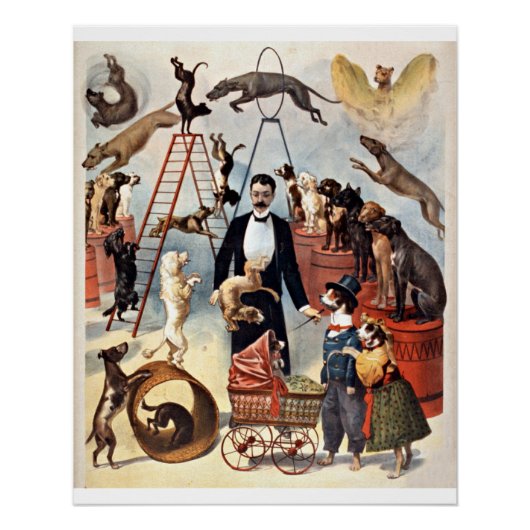 Poster Chiens de cirque, illustration vintage, (Devant)