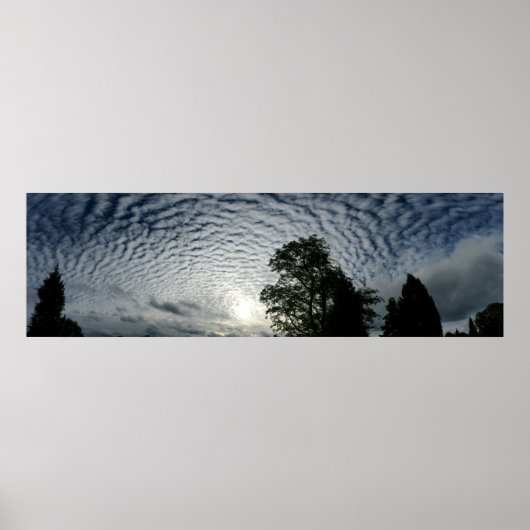 Poster Chiens de comptage (Devant)