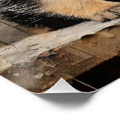 Poster Chiens de marionnettes allemands amicaux 001 - Rai (Coin)