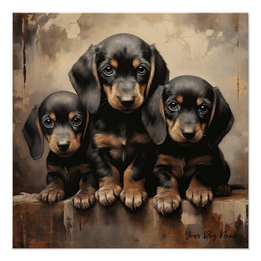 Poster Chiens de marionnettes amicaux Dachshund 001 - Rai (Devant)