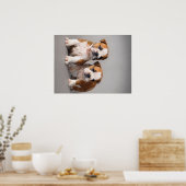Poster Chiens de taupe anglais | Couple mou Bulldog (Cuisine)