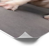 Poster Chiens de taupe mignons | Cadeau Amoureux des chie (Coin)