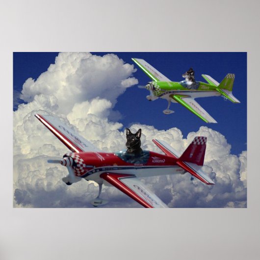 Poster Chiens de vol 4 (Devant)