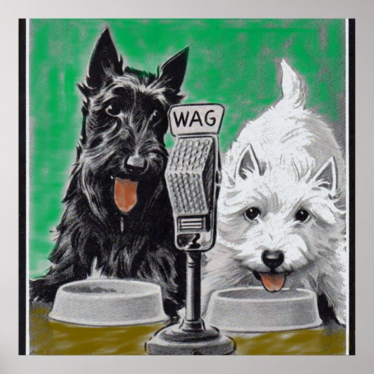 Poster Chiens écossais Blackie et Whitie à la radio (Devant)