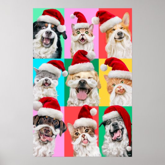 Poster Chiens et chats avec la barbe du Père Noël (Devant)