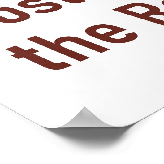 Poster Chiens Et Singes Ferrets - Histoire (Coin)