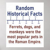 Poster Chiens Et Singes Ferrets - Histoire (Devant)