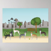 Poster Chiens Grisons Italiens Dans Un Parc Dessin Carica (Devant)