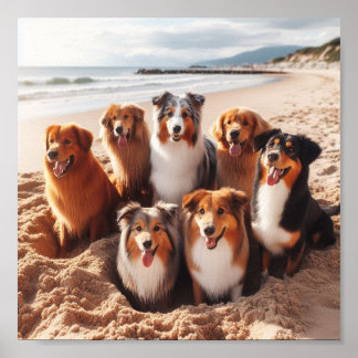 Poster chiens jouant sur la plage en été