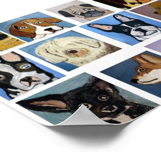 Poster chiens par eric ginsburg (Coin)