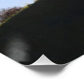 Poster chiens pittoresques de couleur dans le parc paysag (Coin)