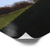 Poster chiens pittoresques de couleur dans le parc paysag (Coin)