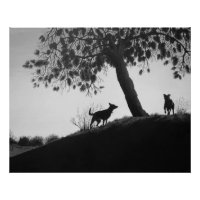 chiens pittoresques noirs et blancs dans l'art pay
