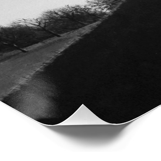 Poster chiens pittoresques noirs et blancs dans l'art pay (Coin)