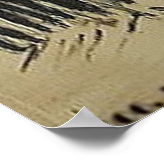 POSTER CHIENS RAW (Coin)