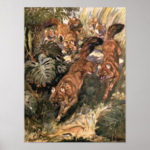 Poster Chiens sauvages vintage, Dhole par Winifred Austen