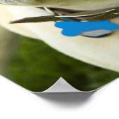 Poster Chiffre de taureau français (Coin)