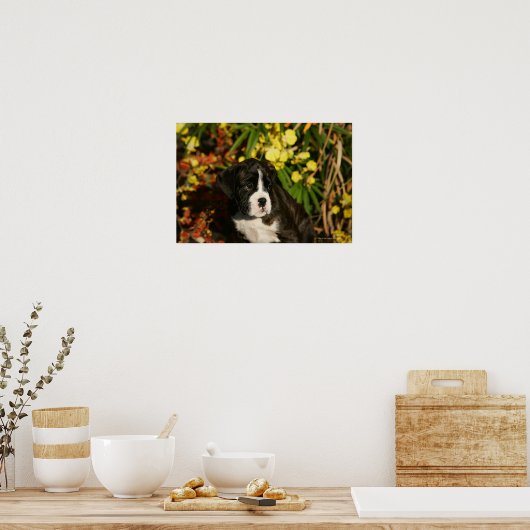 Poster Chiffres de boîte (Cuisine)