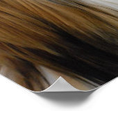 Poster Chih Tzu (Coin)