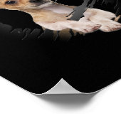 Poster Chihuahua (Coin)