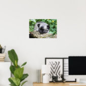 Poster Chihuahua (Bureau à domicile)