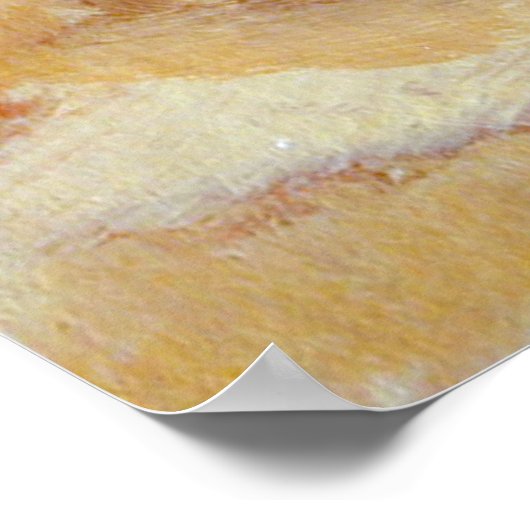 Poster Chihuahua (Coin)