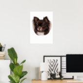 Poster Chihuahua (Bureau à domicile)