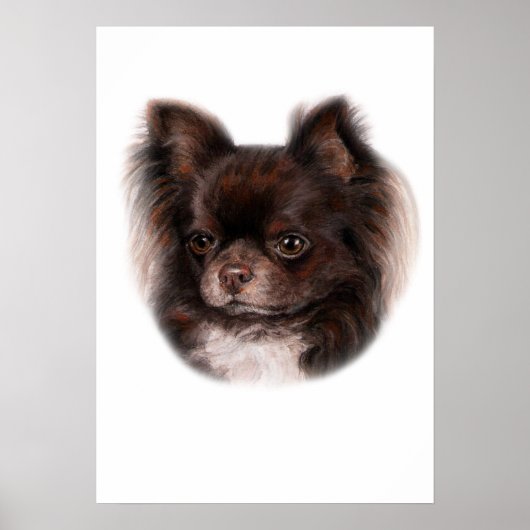 Poster Chihuahua (Devant)