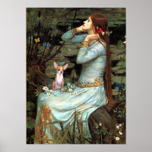 Poster Chihuahua 1 - Ophélie assise