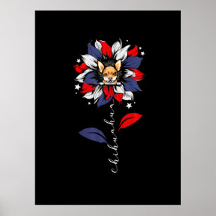 Poster Chihuahua 4 juillet Tournesol patriotique