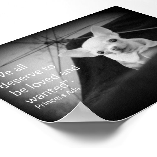 Poster Chihuahua apprécie (Coin)